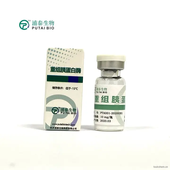 重组蛋白