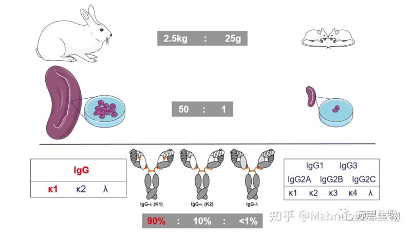 生物科技公司的创新前沿