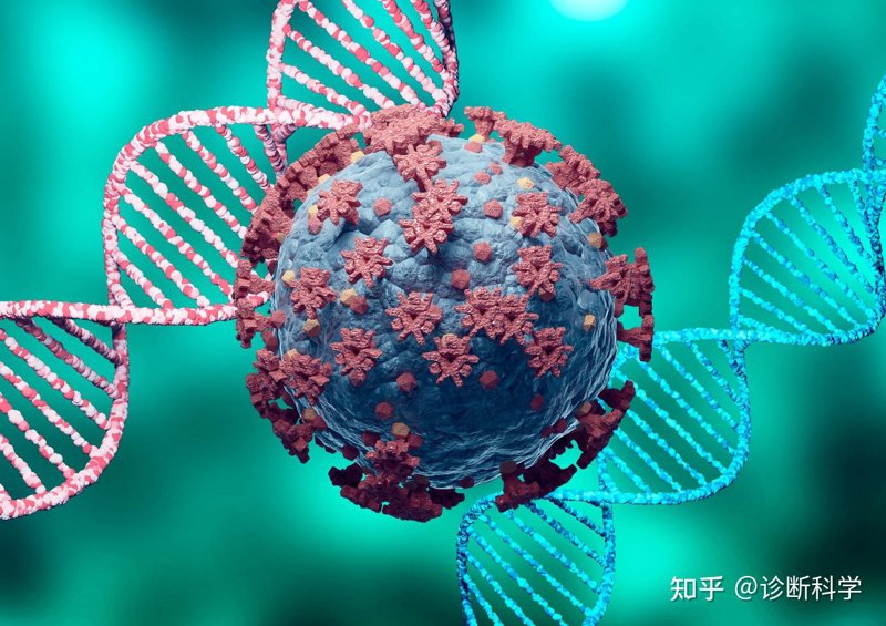 基因检测：解锁未来健康密码